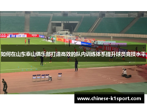 如何在山东泰山俱乐部打造高效的队内训练体系提升球员竞技水平