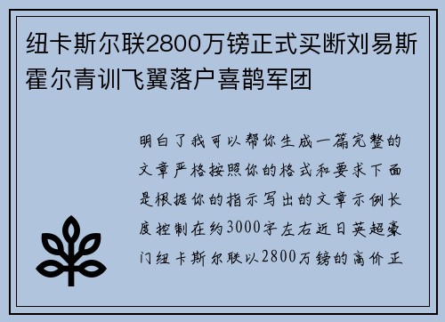 纽卡斯尔联2800万镑正式买断刘易斯霍尔青训飞翼落户喜鹊军团